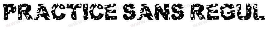 Practice Sans Regular Condensed字体转换